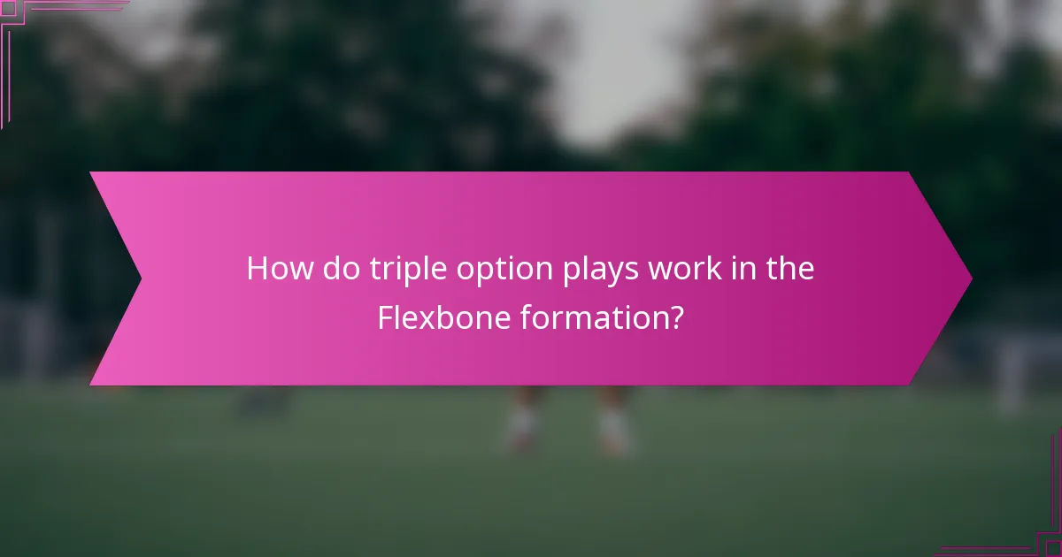 How do triple option plays work in the Flexbone formation?