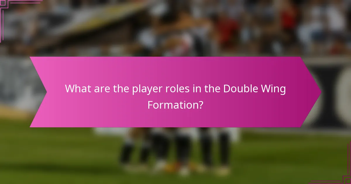 What are the player roles in the Double Wing Formation?